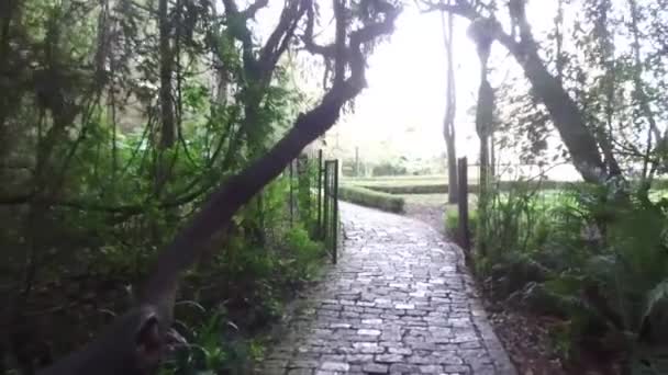 Caminhando Cobbles Alley Way Gate Trees Slide Para Frente — Vídeo de Stock