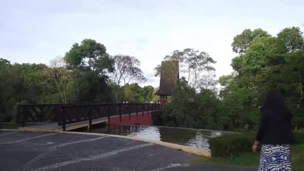 Woman Walking Bridge Water Source Surrounded Flora Slide Right Left — Stock Video