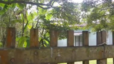 Mavi ev ve ahşap kapının arkasındaki ağaçlar soldan sağa, sağdan sola kayıyor..