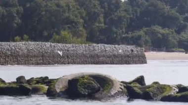 Eski Lastikler ve Kayalar Kıyıya Yakın - Soldan Sağa Kayar.