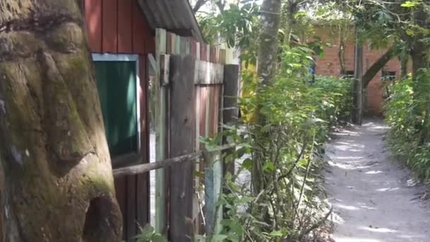 Lille Gyde Måde Omgivet Planter Hus Tree Trunk Skub Venstre – Stock-video