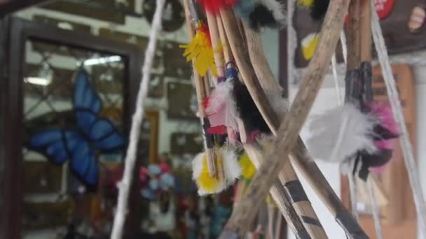Φτερά Που Κρέμονται Κλαδιά Δέντρων Στην Είσοδο Κατάστημα Σύρετε Δεξιά — Αρχείο Βίντεο