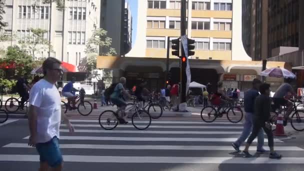 Bicicletas Atravessando Rua Sobre Pedestres Zebra Crossing Static — Vídeo de Stock