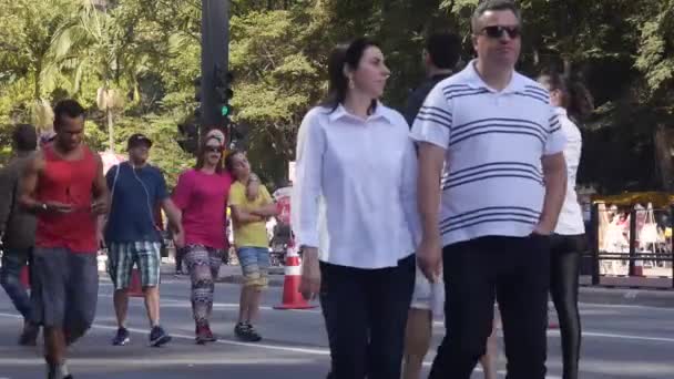 Пара Люди Корректируют Свои Солнцезащитные Очки Человек Собака Проходя Мимо — стоковое видео