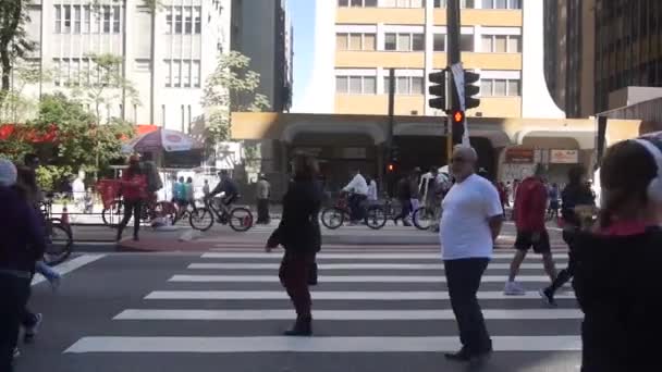 Personnes Traversant Rue Dessus Passage Piéton Zèbre Statique — Video