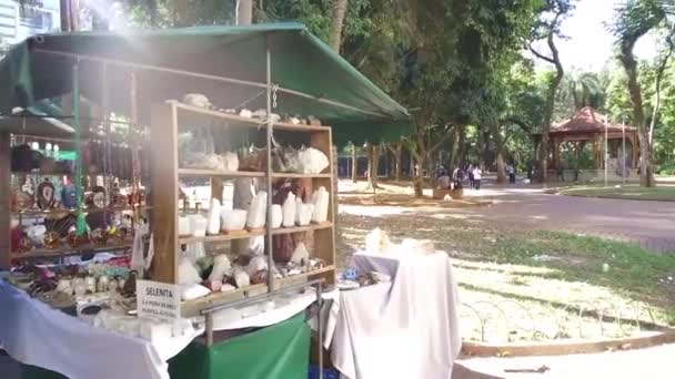 Gente Caminando Parque Cerca Los Árboles Día Soleado Pan Izquierda — Vídeos de Stock