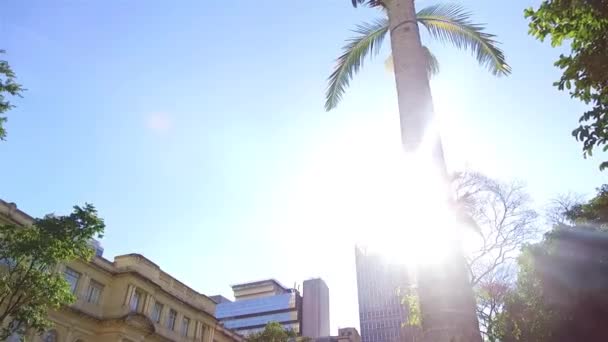 Sun Ray Atrás Palmeira Baixo Slide Direita Para Esquerda — Vídeo de Stock