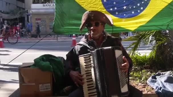 Sun Shining Cool Busking Accordionist Playing Front Brazilian Flag Static — Stock Video