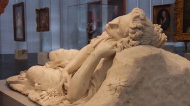 Müzede Tablolarla çevrili Bir Adam Heykeli - Yakın plan