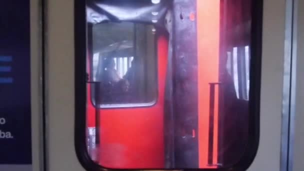 Blick Einer Person Durch Das Fenster Des Folgenden Waggons Statisch — Stockvideo