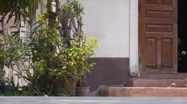 Keşişlerin Ayakları Yürüyor - Statik