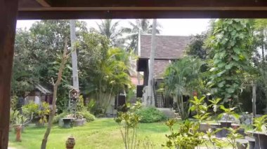 Bahçede Yürüyüş - İleri ve Geri Kaydır