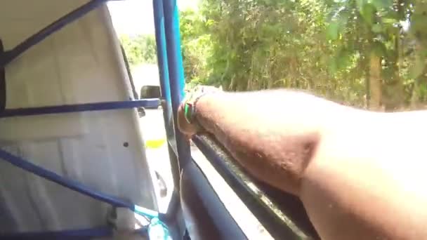 Arm Window Open Car Driving Flora Sun Slide Right Left — Videoclip de stoc