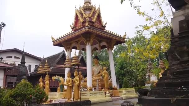 Çevrelenmiş Buda Heykeli Flora Pan Soldan Sağa — Stok video