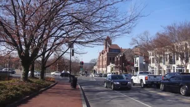 Car Passing Street Trees Static — Stok video
