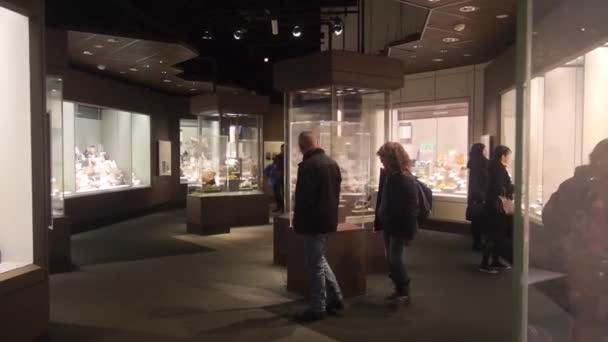 People Museum Right Left — Stock Video