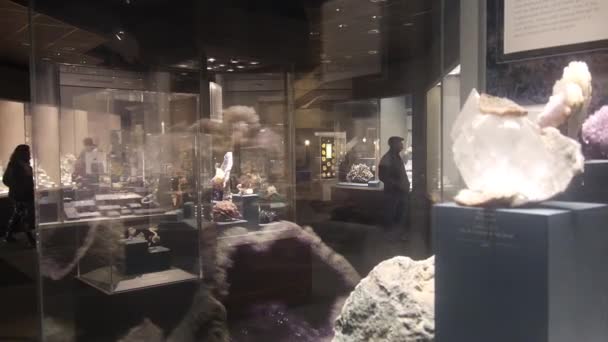 Mensen Het Museum Van Rechts Naar Links — Stockvideo