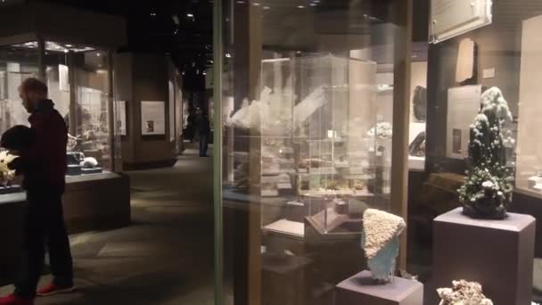 People Showcases Museum — Stock Video
