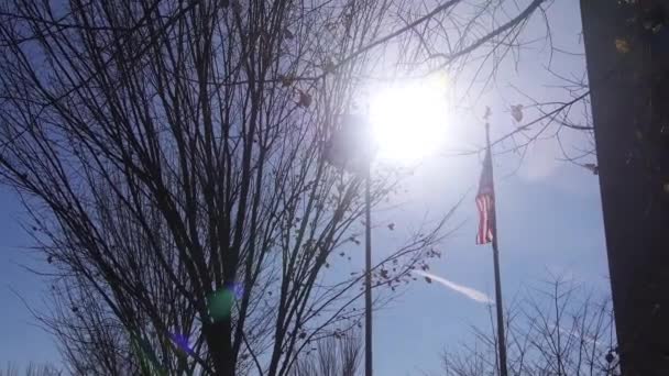 Słońce Promień Świeci Przez Drzewo Pobliżu Flagi — Wideo stockowe
