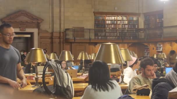 People Reading Silently Library Static — Stock video