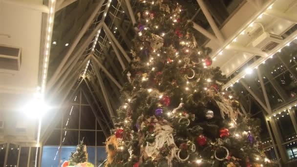 Weihnachtsbaum Und Dekoration — Stockvideo