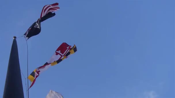 Bendera Dalam Angin — Stok Video