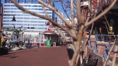 Yürüyen İnsanların Önünde Ağaç Dalları 