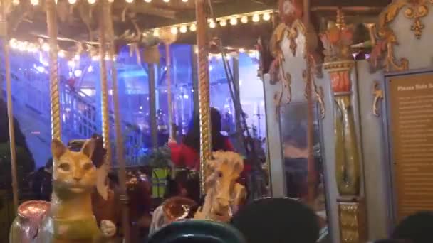 Families Carousel Spinning Night Static — Stock Video