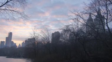 Gün batımında Central Park ve Şehir Kuru Ağaçları