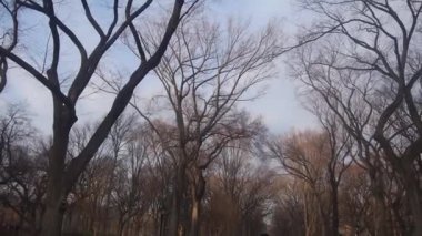 Central Park'ta yürüyordunuz insanlar 