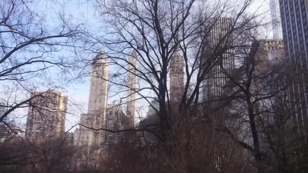 Budovy Města Suchými Stromy — Stock video