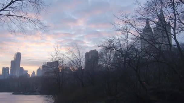 City View Central Park Sunset — Stock Video