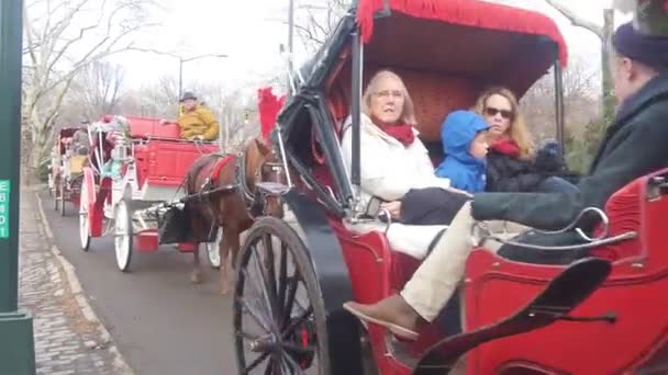 Caballos Con Plumas Tirando Carros Rojos Calle Pan Derecha Izquierda — Vídeo de stock