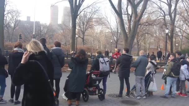 People Aligned Central Park Pan Right Left — Stock Video