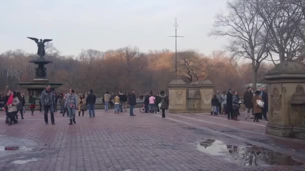 Lidé Blízkosti Sochy Fontáně Central Parku — Stock video