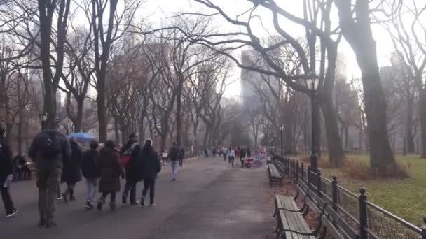 Personnes Marchant Dans Central Park Près Des Bancs Des Arbres — Video