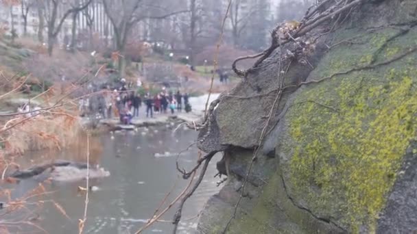 Roca Cubierta Musgo Frente Gente Parque — Vídeo de stock