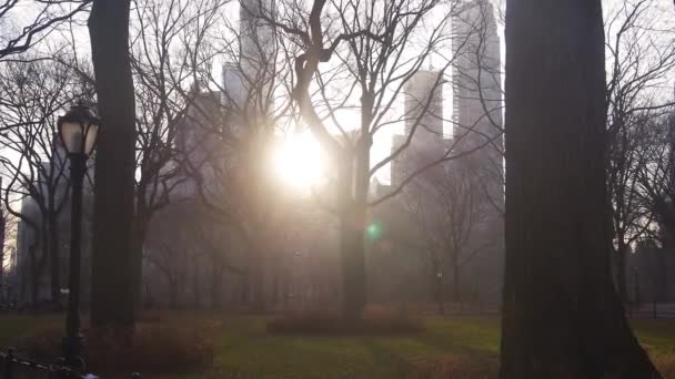 Sluneční Paprsek Svítí Budovami Stromy Města — Stock video
