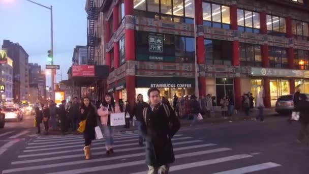 도시에서 횡단하는 얼룩말 — 비디오