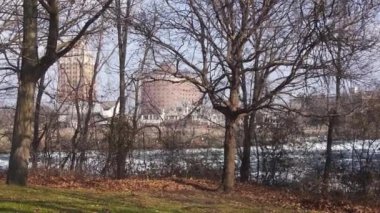  Kuru Ağaçların Önünde Yürüyen Sırt Çantalı - Statik