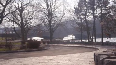 Trees Yakın Yolu. Parazit