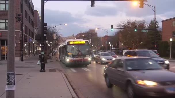 Autók Buszok Közlekednek Forgalmas Úton Fényben — Stock videók