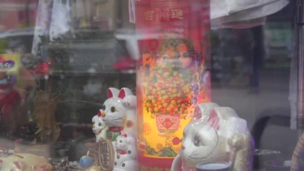 Çin Kedileri Lambası Dükkanın Arkasında — Stok video
