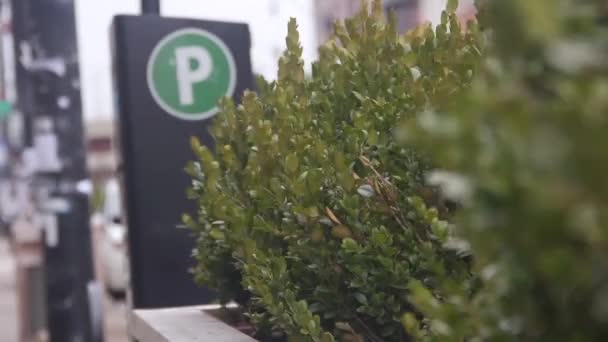 Green Parking Sign Achter Planten Wind — Stockvideo