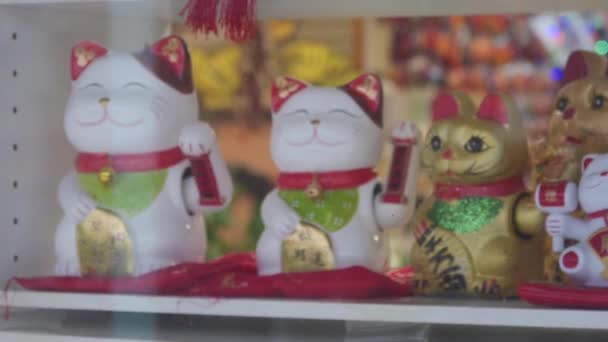 Şanslı Çinli Kediler Dükkanda Pençelerini Sallıyor — Stok video