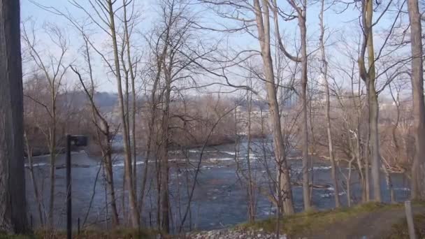 Dry Trees Front Niagara River Static — Stok Video