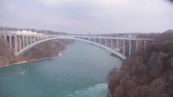 Tree Front Bridge Niagara River Static — Stock Video