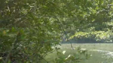 Flora yakınlarında bir tekne su kaynağına geçiyor. 