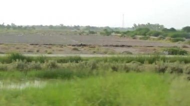 Flora 'nın Yakınındaki İnsanların Tarlalarından Geçerken