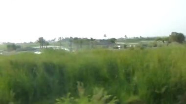 Flora 'nın Yeşil Arazileri' ni geçiyoruz.